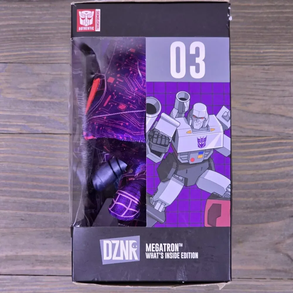 DZNR Transformers Megatron 